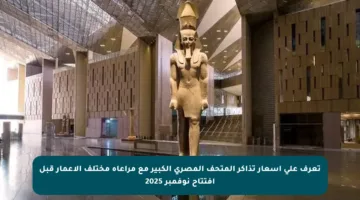 تعرف على أسعار تذاكر المتحف المصري الكبير مع مراعاة مختلف الأعمار قبل افتتاح نوفمبر 2025